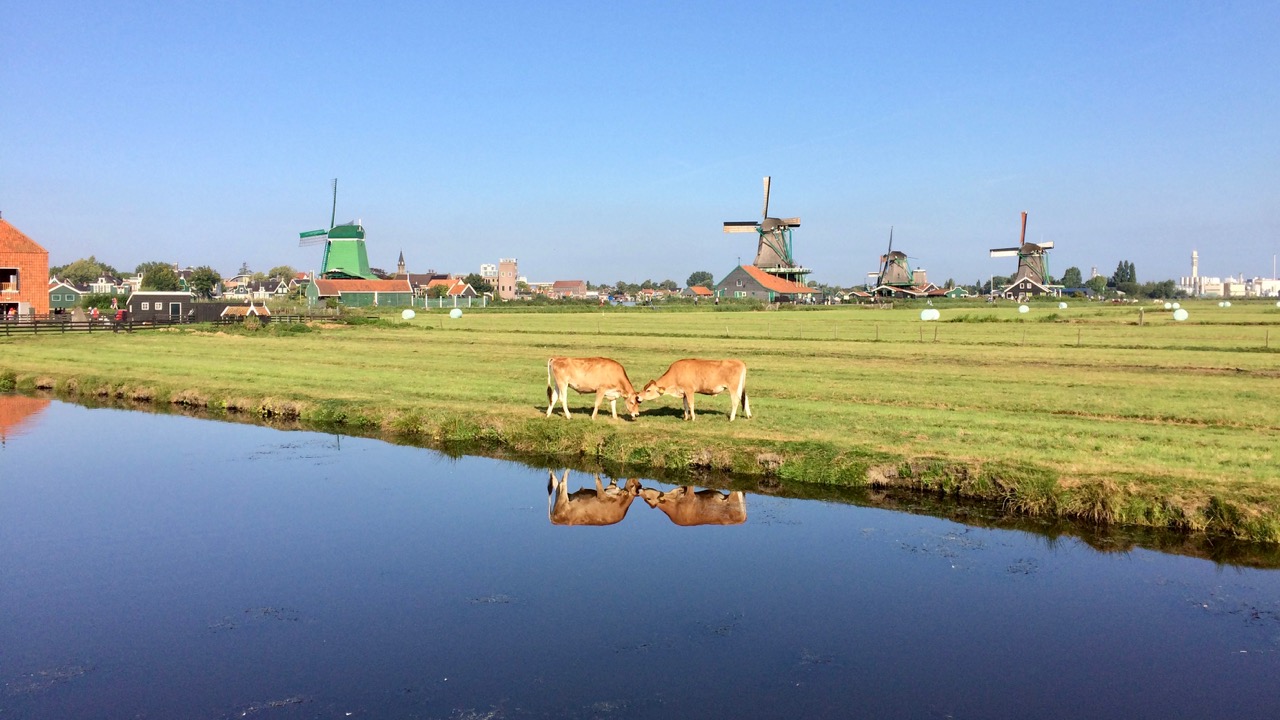 Zaanse Schans windmills